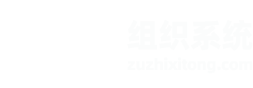 组织系统